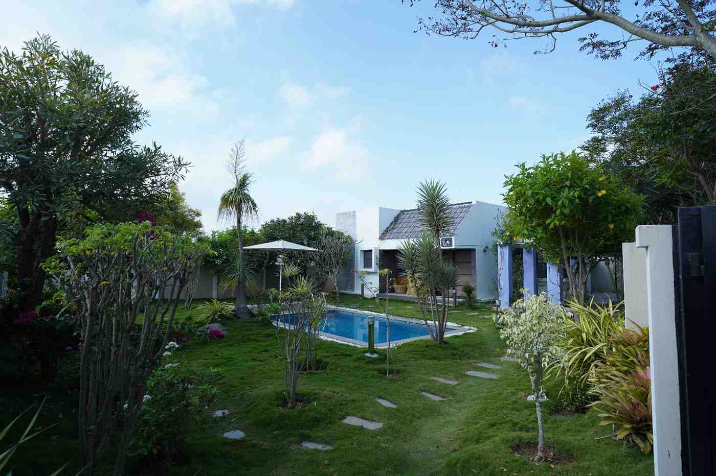 portfolio details image